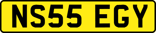 NS55EGY