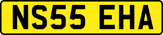 NS55EHA