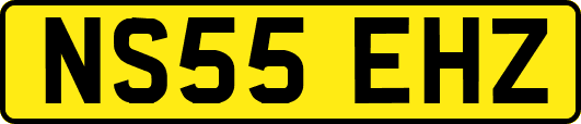 NS55EHZ