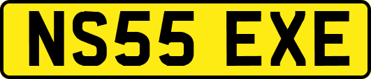 NS55EXE