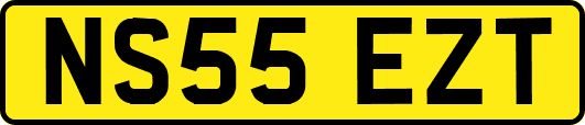 NS55EZT