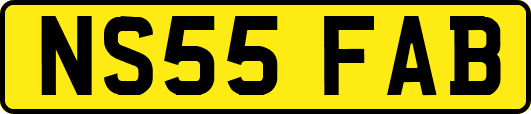 NS55FAB