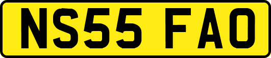 NS55FAO