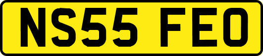 NS55FEO