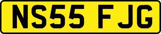 NS55FJG