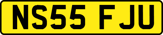 NS55FJU