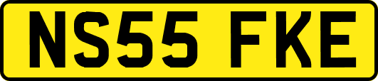 NS55FKE
