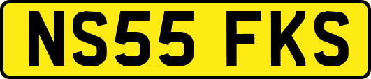 NS55FKS