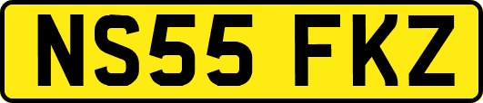 NS55FKZ