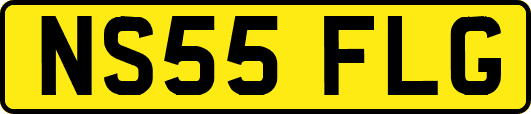 NS55FLG