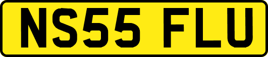 NS55FLU