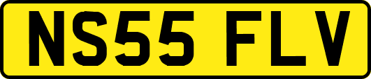 NS55FLV