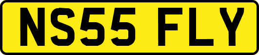 NS55FLY