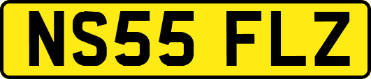 NS55FLZ