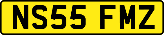 NS55FMZ