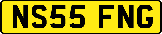NS55FNG