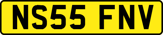 NS55FNV