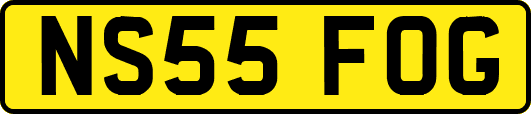 NS55FOG
