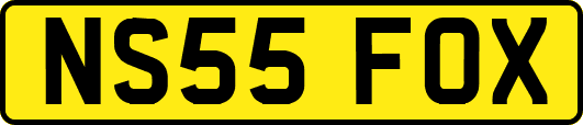 NS55FOX