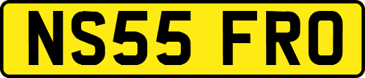 NS55FRO