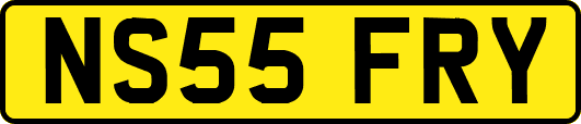 NS55FRY