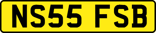 NS55FSB