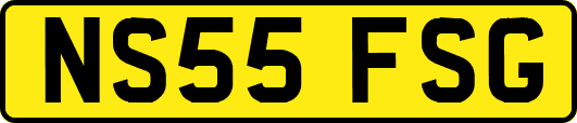 NS55FSG