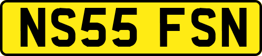 NS55FSN