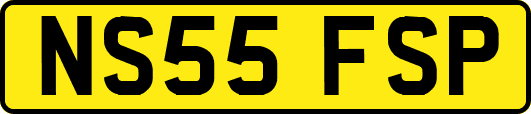 NS55FSP