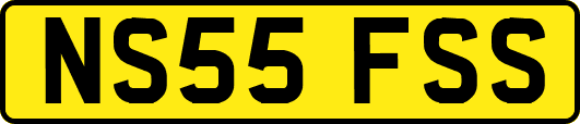 NS55FSS