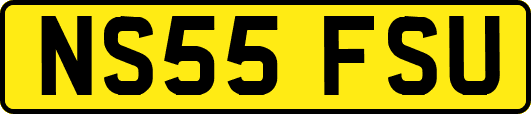NS55FSU