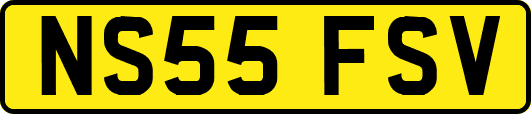 NS55FSV