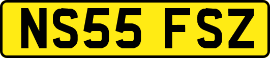 NS55FSZ
