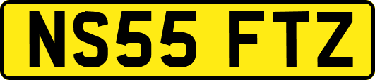 NS55FTZ