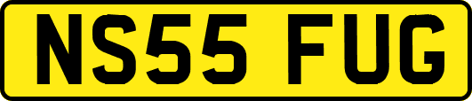 NS55FUG