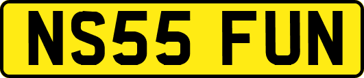NS55FUN
