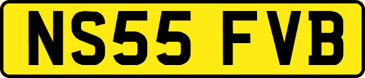 NS55FVB
