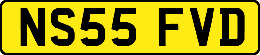 NS55FVD