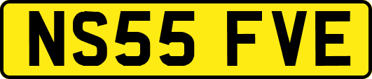 NS55FVE