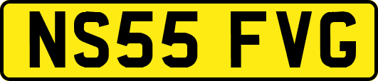 NS55FVG