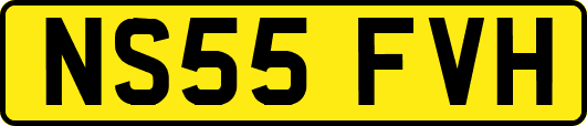 NS55FVH