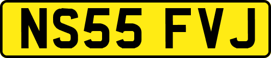 NS55FVJ