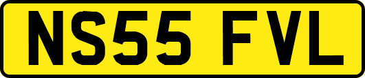 NS55FVL