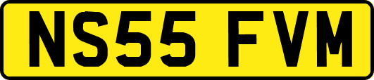 NS55FVM