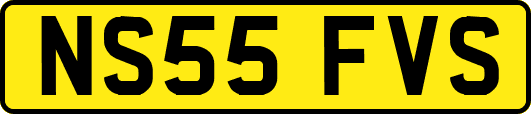 NS55FVS