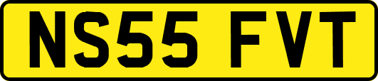 NS55FVT