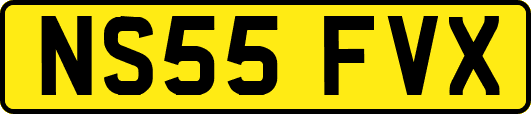 NS55FVX