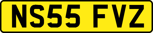 NS55FVZ