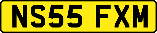 NS55FXM