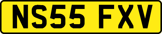 NS55FXV